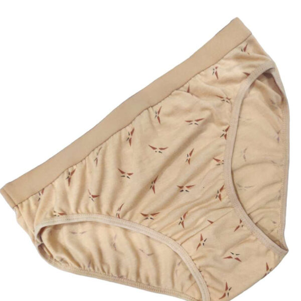 Women's Cotton Mid Waist Panty pack of 3