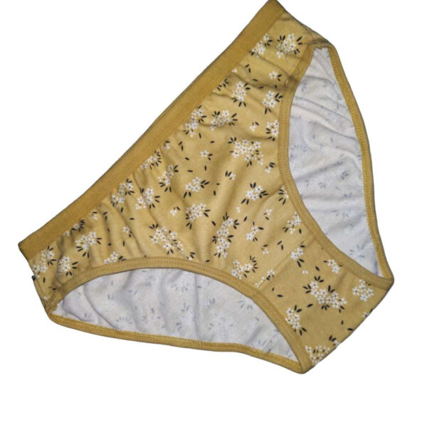 Women's Cotton Mid Waist Panty pack of 3