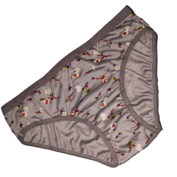 Women's Cotton Mid Waist Panty pack of 3
