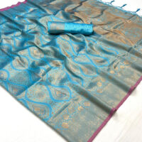 Sky Blue Dual Tone Woven Banarasi Brocade Saree